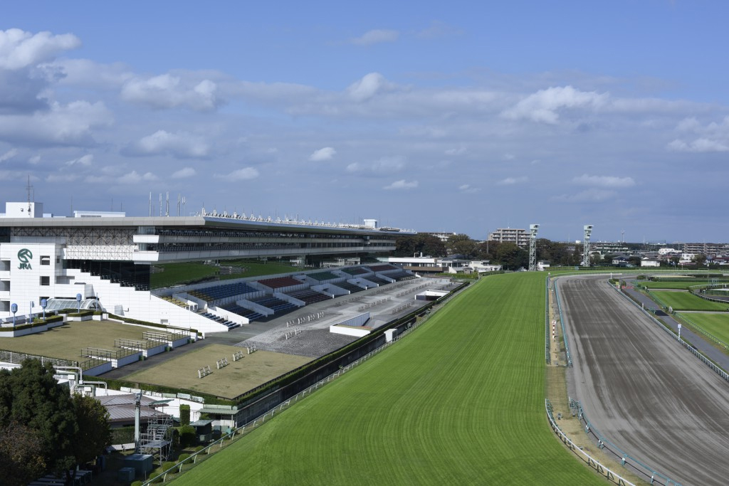nakayama Racecourse