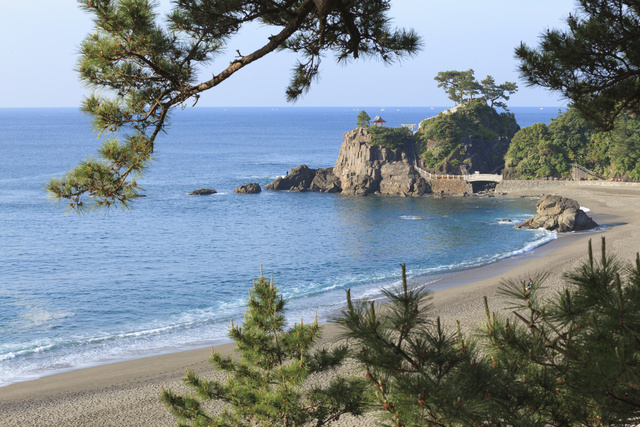 桂浜